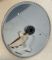 Picture of Chipper Disc. Used. As New. For kenwood f/pro 