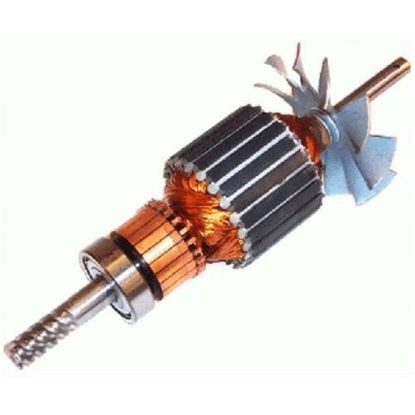 Picture of ARMATURE