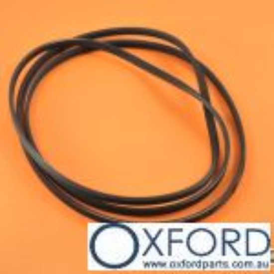 Picture of BELT POLY PKD