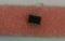 Picture of EEPROM AML125AUS 