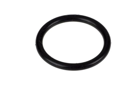 Picture of Gasket 
