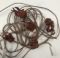 Picture of microswitch, harness, 5 POINT