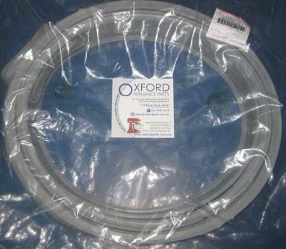 Picture of Door Seal Replaces Ariston/Indesit C00259981,S003003520 