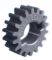 Picture of Gear - Pinon 