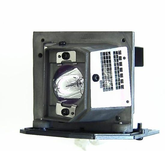 Picture of Genuine Infocus  Original Lamp Module for X6, X7 , X9, X15, X20 and X21 ( SP-LAMP-037). Osram Bulb. 