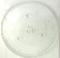 Picture of Glass Turntable Plate