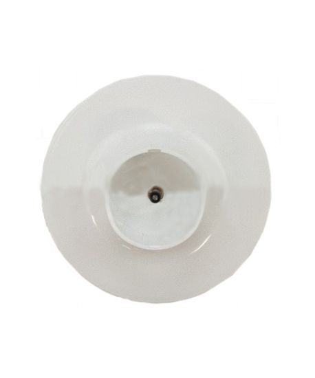 Picture of LID