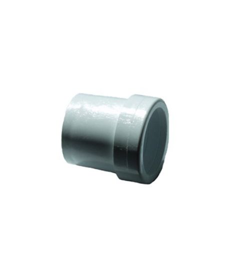 Picture of SPIGOT