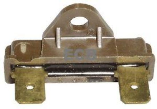 Picture of THERMO FUSE