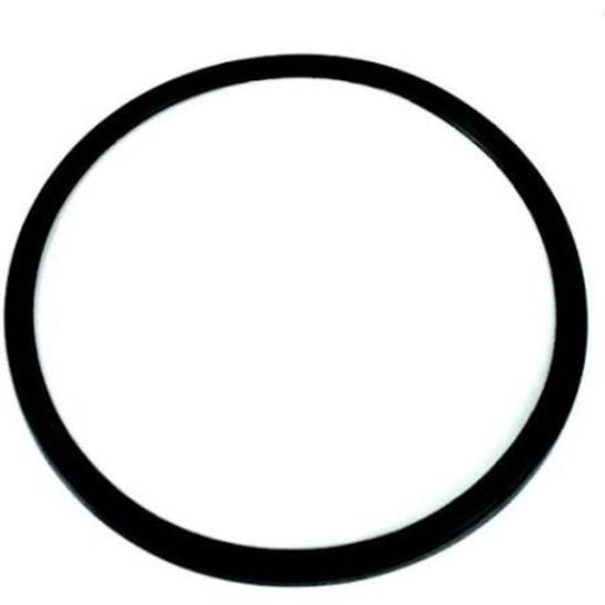 Picture of Well gasket 1