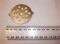 Picture of  Grinding Plate Coarse 6mm 1/4" For kitchenaid grinder