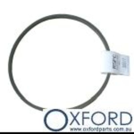 Picture of BELT