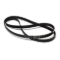 Picture of BELT 1238H8 EL - OPTIBELT
