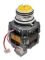 Picture of DISHWASHER MOTOR PUMP - ZANUSSI 50273432000 - ORIG