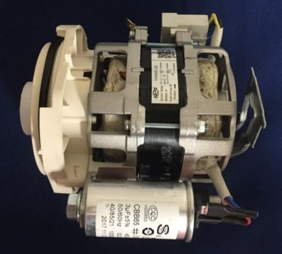 Picture of Induction Pump