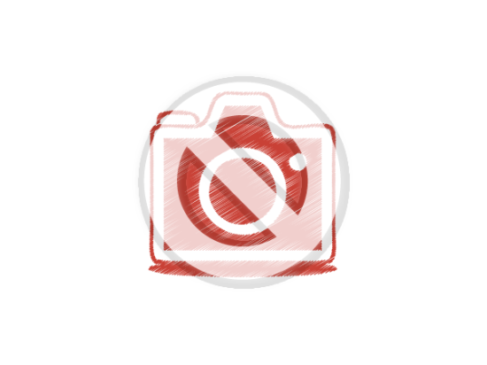 Picture of INDUSTRIAL PAINTED HANDLE