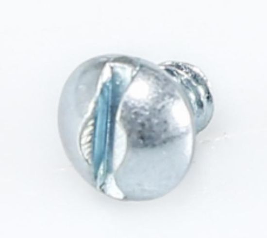 Picture of Screw Yolk Spring abd RF Filter 