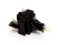 Picture of SWITCH - GORENJE 390922 ROLD E0023