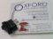 Picture of SWITCH ROCKER LAMP BLK 2 PIN 