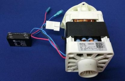 Picture of Wash Motor