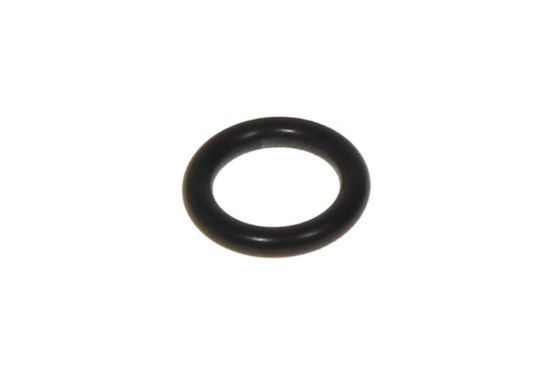 Picture of O-Ring