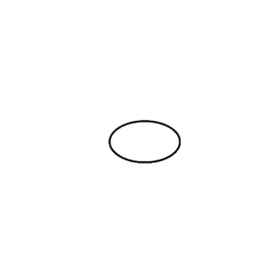 Picture of O-RING