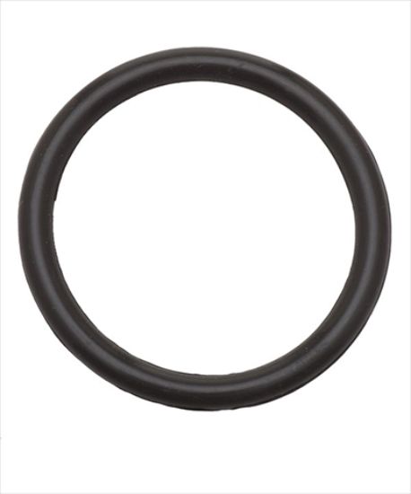Picture of O-RING