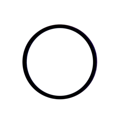 Picture of RING 'O' VITON LP 
