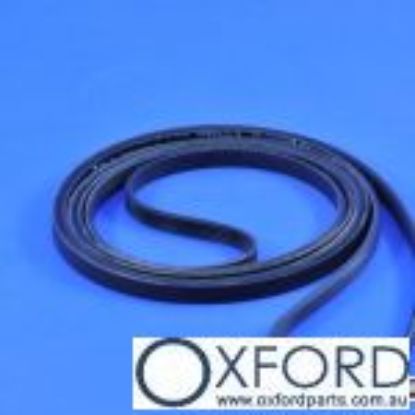 Picture of V-BELT (TUMBLER)
