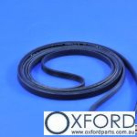 Picture of V-BELT (TUMBLER)