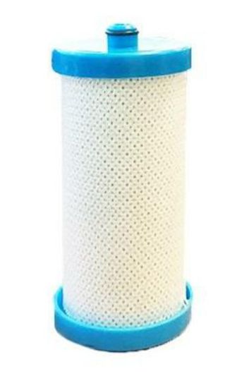 Picture of WATER FILTER  CB21402 BULK